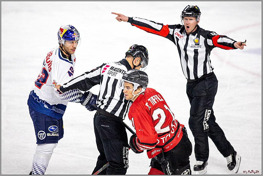 DEL;  Koelner Haie - EHC Red Bull Muenchen; Koeln, 02.02.2020